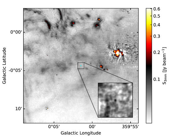 Ginsburg et al. 2024